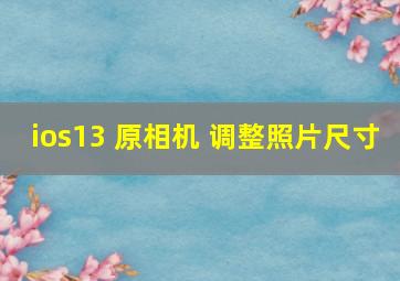 ios13 原相机 调整照片尺寸